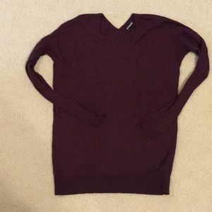 Express V-neck sweater